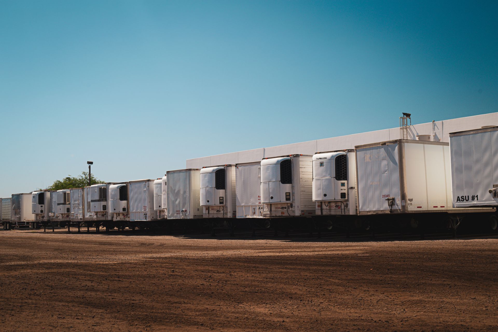A line of commercial trucks parked in a yard under a clear sky